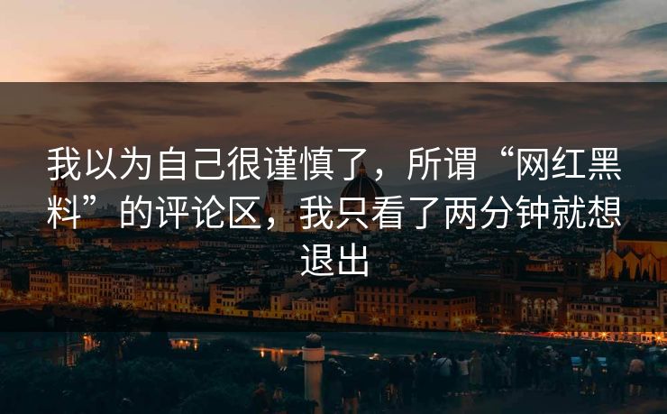 我以为自己很谨慎了，所谓“网红黑料”的评论区，我只看了两分钟就想退出