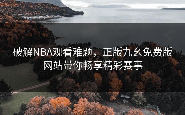 破解NBA观看难题，正版九幺免费版网站带你畅享精彩赛事